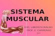 Sistema muscular-1204687836174898-3