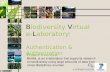 Biodiversity Virtual e-Laboratory (BioVeL): Athentication & Authorisation