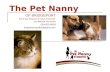 The Pet Nanny Presentation