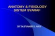 Anatomi & fisiologi syaraf 2