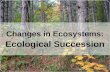 Ecological Successions