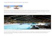 Top 10 hotel pool swim-up bars