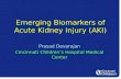 Emerging Biomarkers of AKI