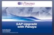 SAP Upgrade Automation- Panayainc.com