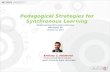 Pedagogical Strategies for Synchronous Learning