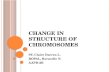 Change in structure of chromosomes ( sy, claire & ropal, roravelle)