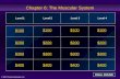 Ch 6 Muscle Jeopardy Review Game