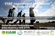 CIAT experience in Climate & Crop Modelling IIAM-CCAFS Project