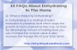 10 FAQs About Dehydrating