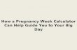 Pregnancy Week Calculator