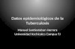 Epidemiologia Tuberculosis