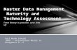 Final presentation - Master data management - Half Scheidl