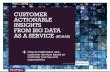 Customer actionable insights from big data as a service