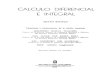 Banach  -calculo_diferencial_e_integral