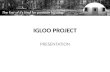 Igloo project