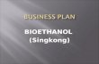 Class Project - Business Planning