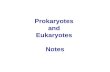 Prokaryotes and eukaryotes key