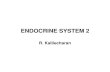 Endocrine System-II
