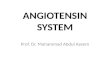 Lect 26 9th oct angiotensin system