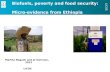 Biofuels, Poverty and Food Security: Micro-evidence from Ethiopia