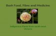 Bush Food, Fibre And Medicine