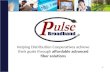 Pulse Broadband Introduction