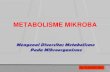 Metabolisme mikroba mikroorganisme