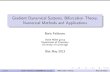 Gradient Dynamical Systems, Bifurcation Theory, Numerical Methods and Applications