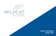 Wildcat Silver Investor Presentation October 2012