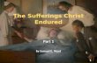 The sufferings christ endured   1