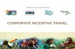 WRS Corporate Incentive Travel