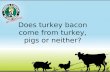 Does turkey bacon come from turkeys, pigs or neither?