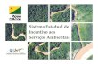 Acre State System of Incentives for Environmental Services