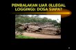 Soal Adelin Lis Versi Riau