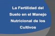 La Fertilidad del Suelo en el Manejo Nutricional - Exp. Ing. Mg.Sc. Andres Gonzales