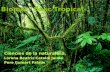 Powerpoint: Bosc tropical