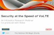 Infonetics and Stoke webinar: Security at the speed of VoLTE