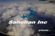 Sahelian Inc. (Usa) – PréSentation De Sahelian Air Group