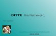 Ditte  The Retriever 1