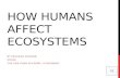 how do humans affect ecosystems