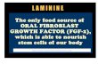Laminine  a super supplement and a super food