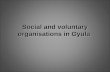 Hungary: Social and voluntary organisations in Gyula