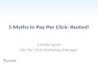 5 Mituri in Pay Per Click