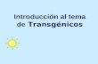 Introduccion transgenicos