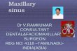Maxillary sinus and develoment