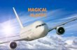 MAGICAL PLACES TRAVEL AGENCY