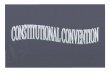 14 constitutional convention