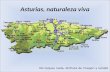 Asturias Naturalezaviva Virgi