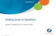 Enabling Disaster Recovery as Service (DRaaS) on OpenStack
