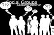 Consumer Behaviour- Social Group